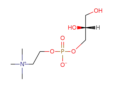 L-glycero-3-phosphorylcholine